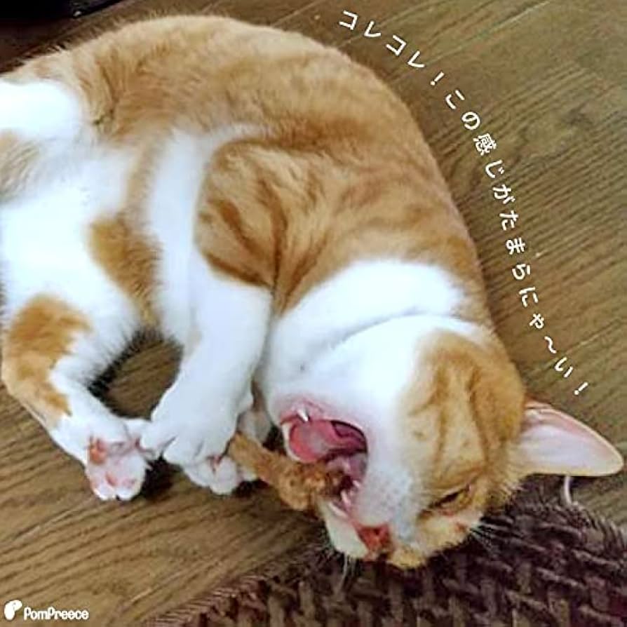 猫のまたたびページ スマック またたびスプレー 30ml（4970022021153）｜猫用品（猫